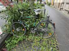 Herrenloses Fahrrad vor dem Haus Vorgebirgsstr. 3 im Grünbeet